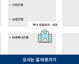 다음지도